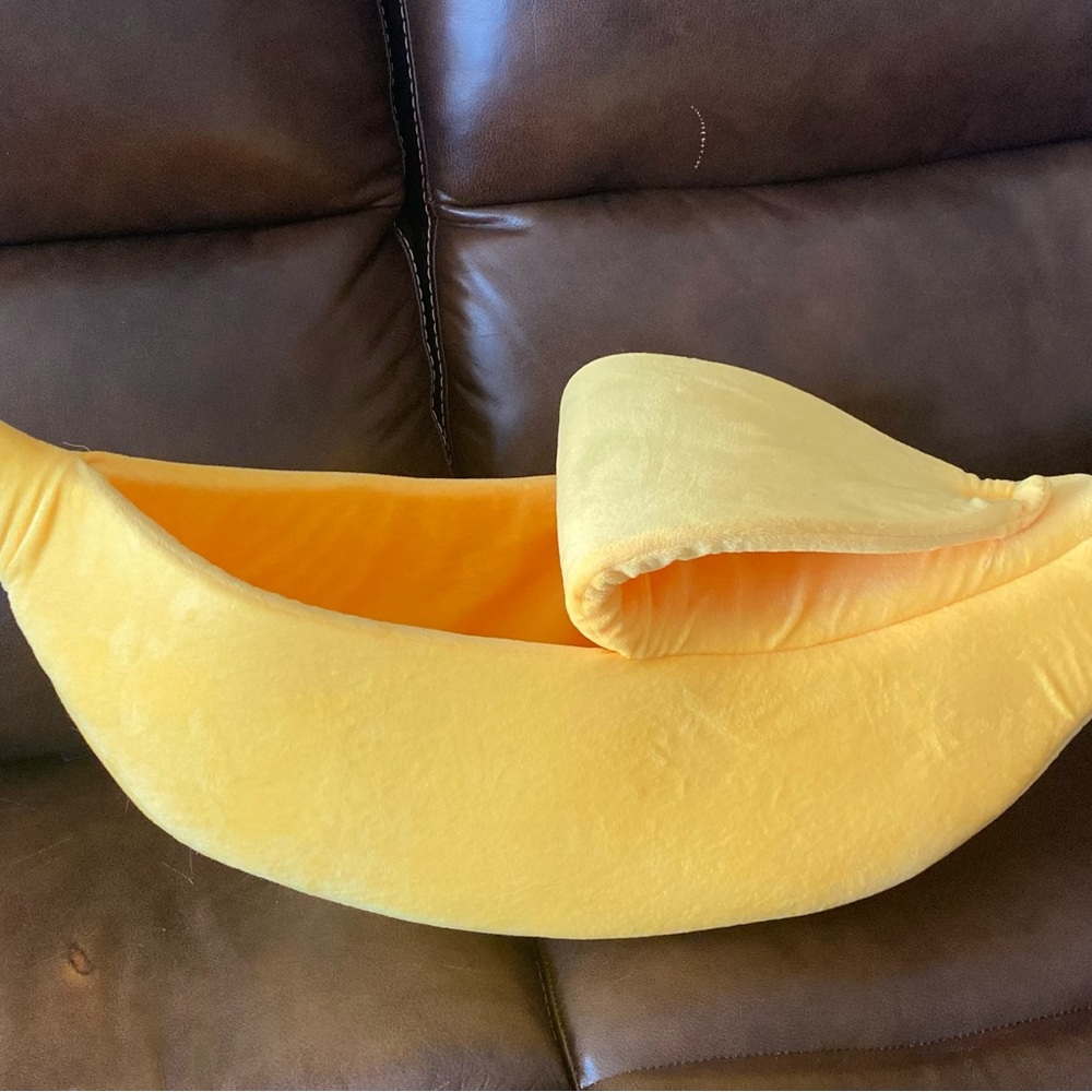 Cat bed
